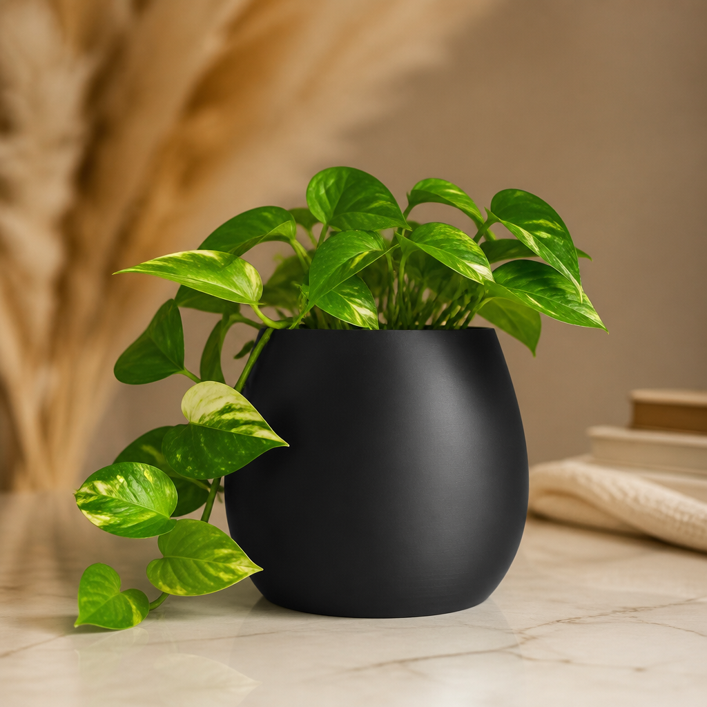 Vaso Cachepô Decorativo Preto para Plantas