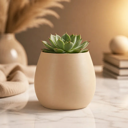 VASO DECORATIVO PARA PLANTAS