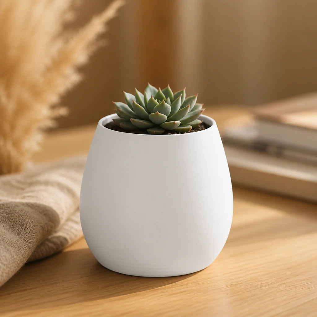 Vaso Cachepô Decorativo Branco para Plantas